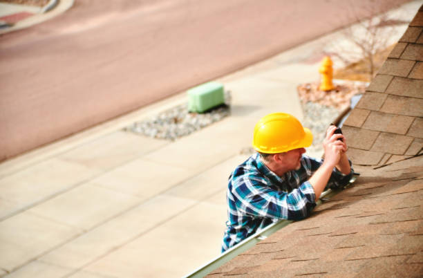 Best Roof Gutter Cleaning  in Rincon, GA